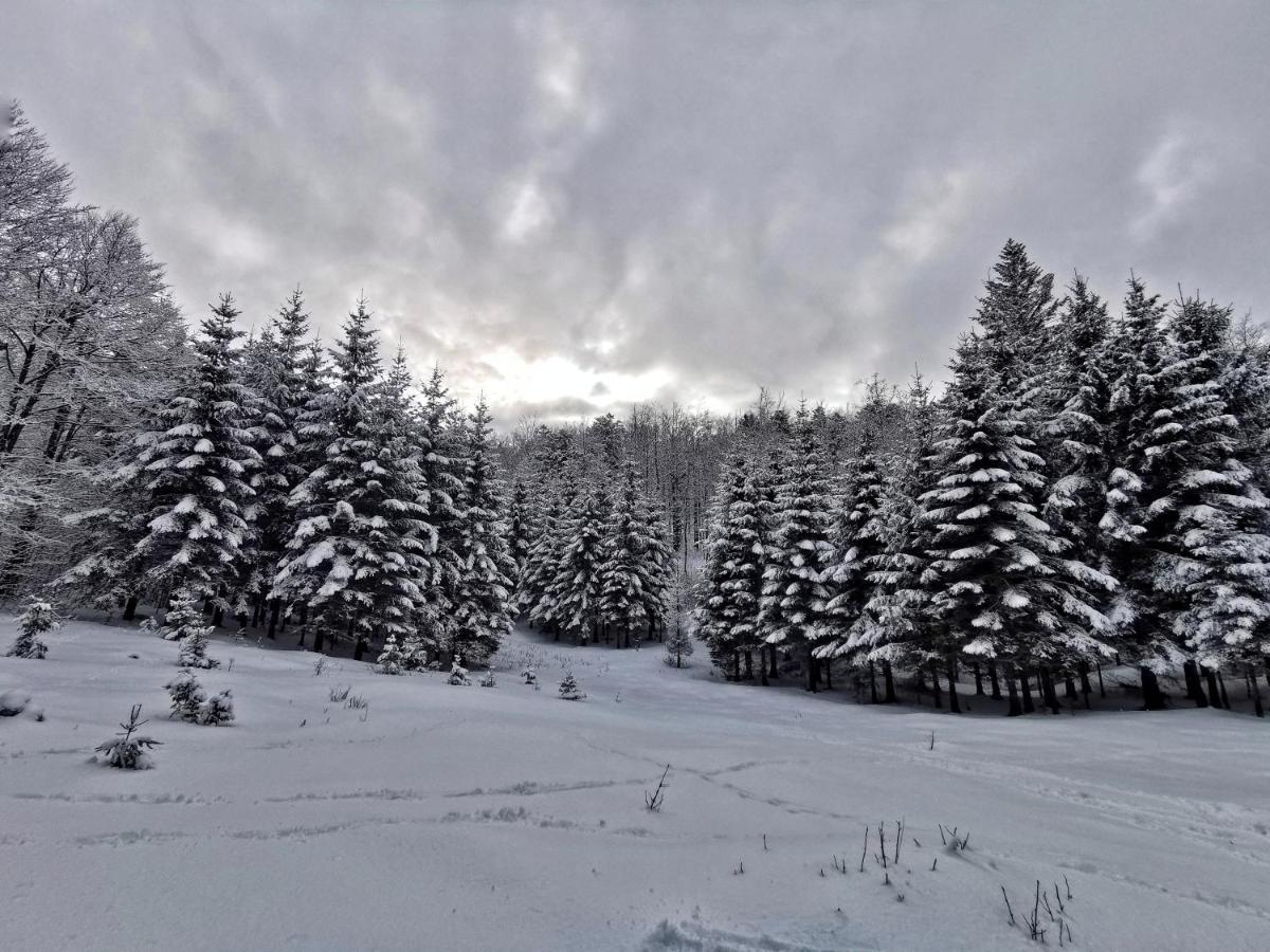 Great Mountain B&B Platak Extérieur photo